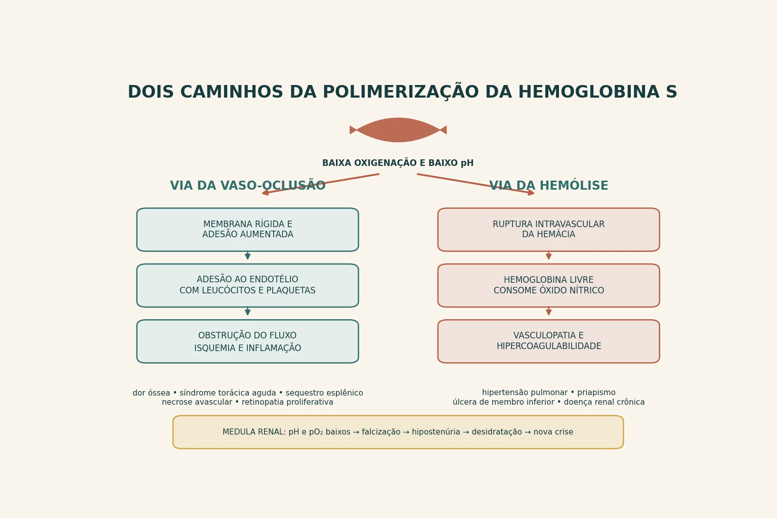 Esquema em duas colunas partindo da mesma hemácia falcizada: à esquerda a via da vaso-oclusão, com adesão ao endotélio, leucócitos e plaquetas, levando a dor óssea, síndrome torácica, sequestro e necrose avascular; à direita a via da hemólise, com hemoglobina livre consumindo óxido nítrico, levando a hipertensão pulmonar, priapismo, úlcera de perna e doença renal.