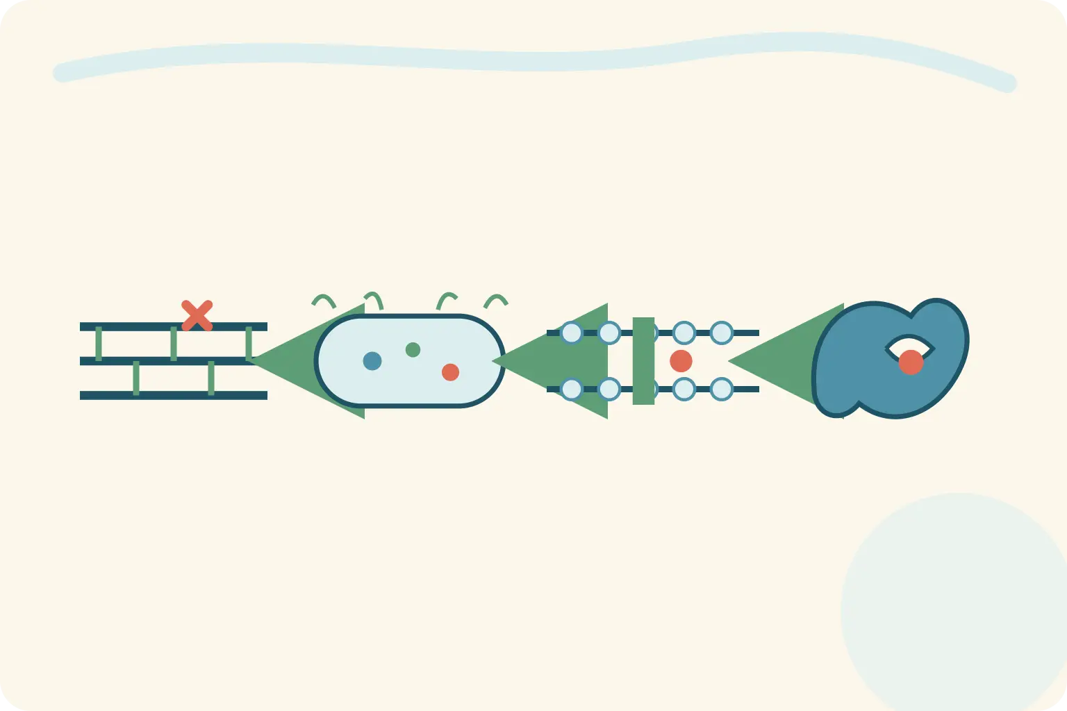 Fluxo entre parede bacteriana, célula, membrana e enzima de resistência.
