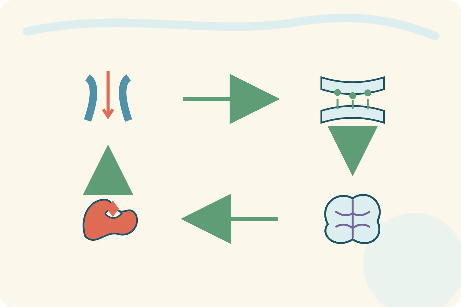 Quatro painéis de mecanismos que reduzem propagação neuronal.