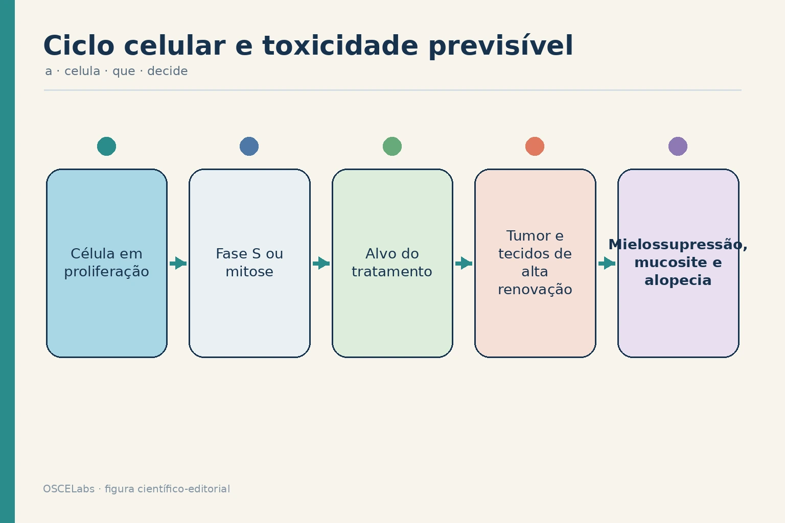 Relação entre alvos do ciclo celular e toxicidade em tecidos de alta renovação.