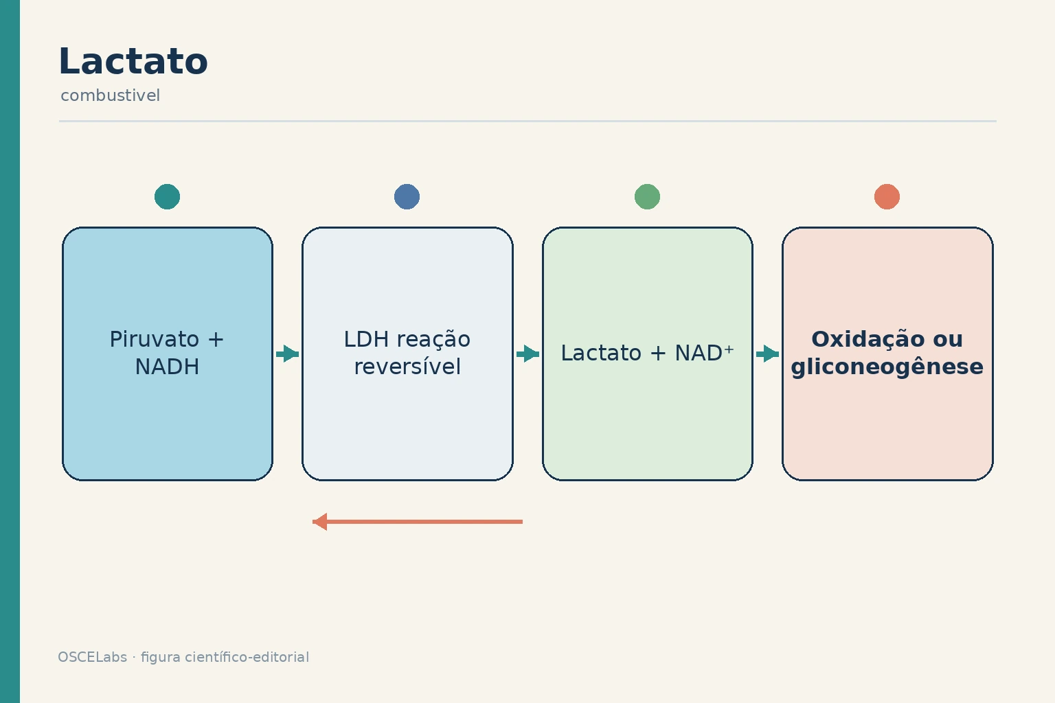 Reação reversível da lactato desidrogenase e destinos do lactato.