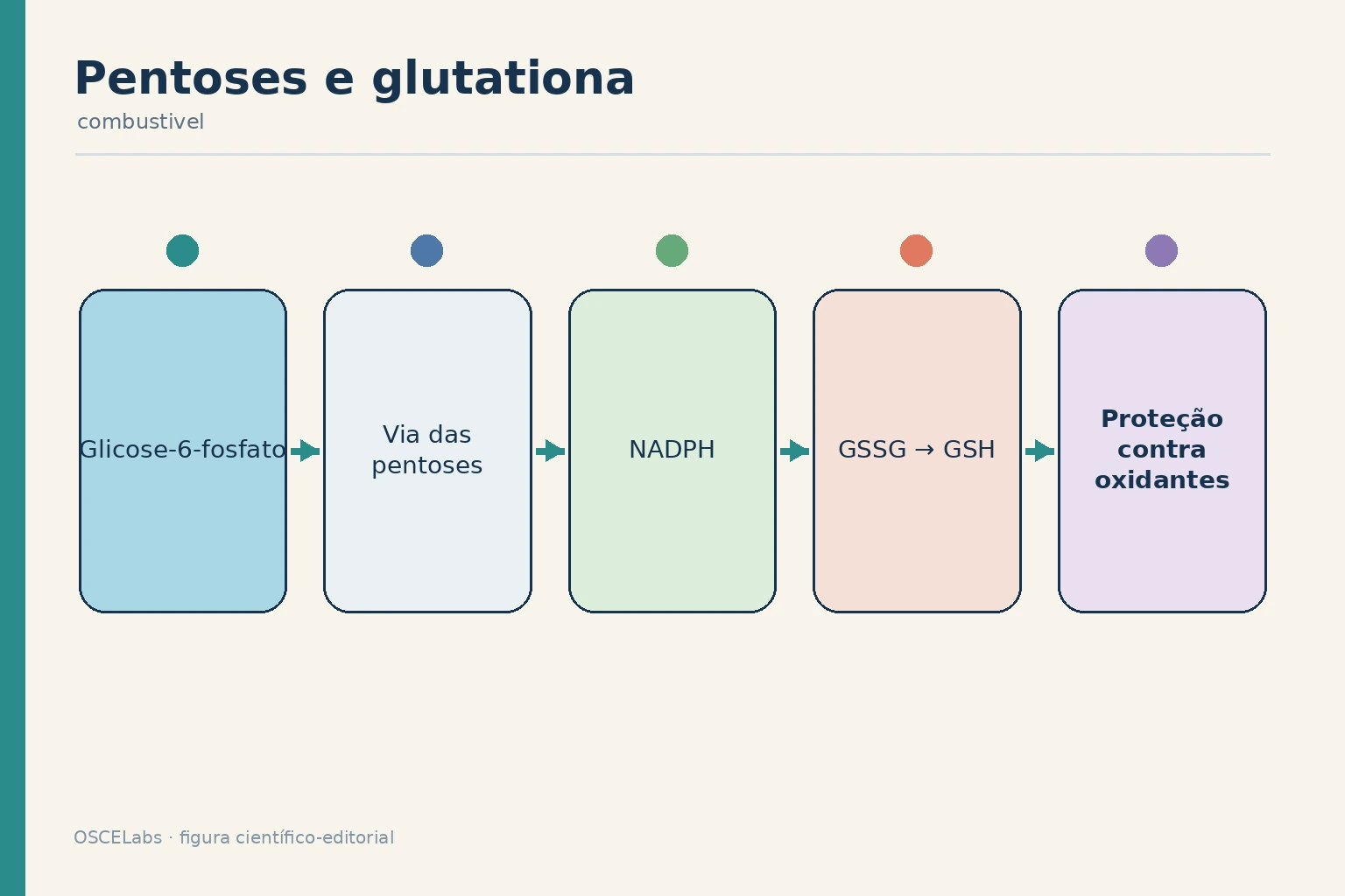 Via das pentoses produzindo NADPH para regenerar glutationa reduzida.