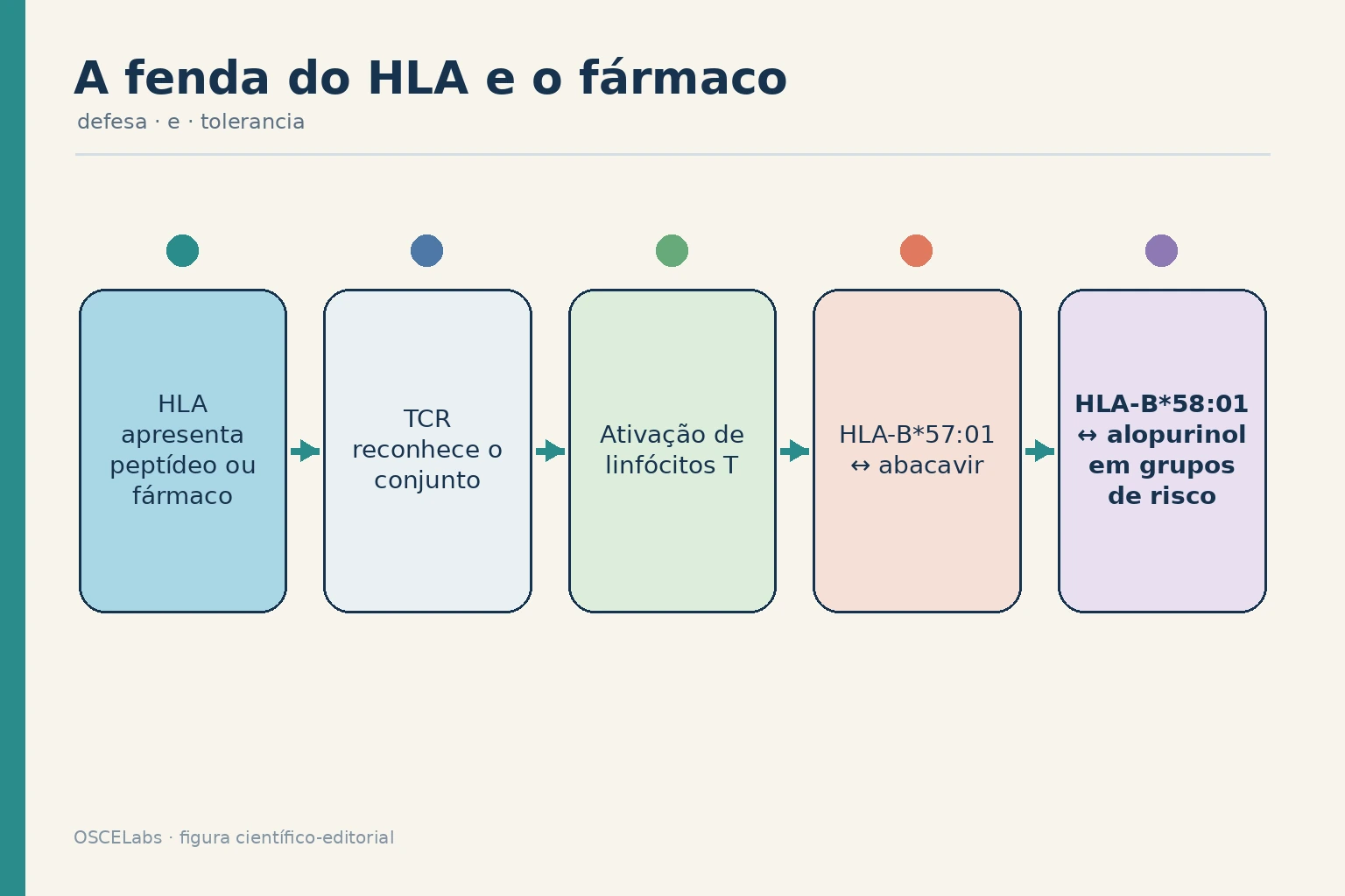 Reconhecimento do conjunto HLA, peptídeo e fármaco por linfócitos T.