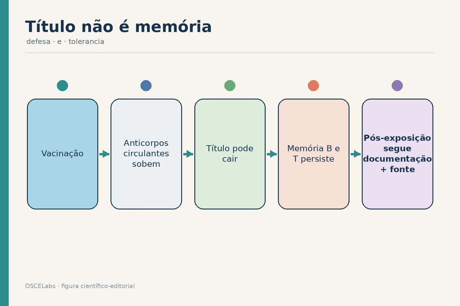 Diferença temporal entre anticorpo circulante e memória imunológica após vacinação.