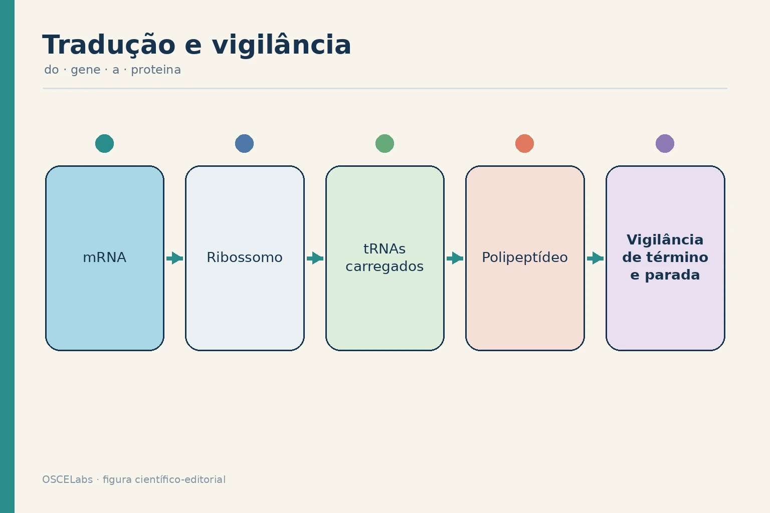 Ribossomo traduzindo mRNA com tRNAs e rotas de vigilância.