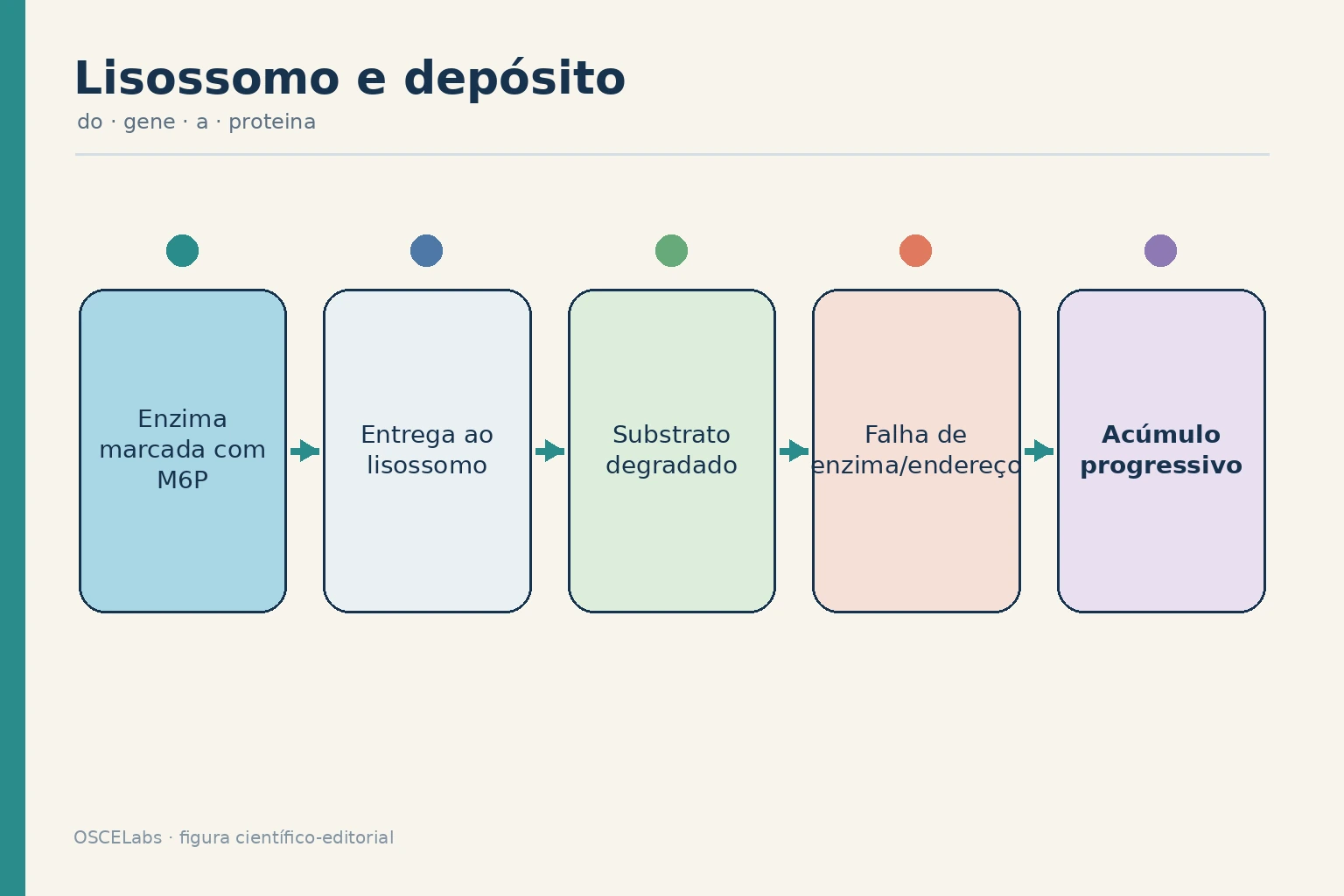 Endereçamento de hidrolases ao lisossomo e acúmulo por falha do sistema.