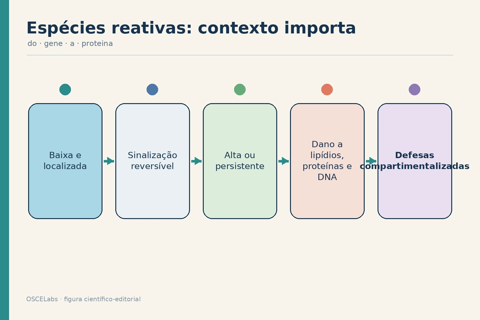 Efeitos das espécies reativas conforme dose, duração e compartimento.