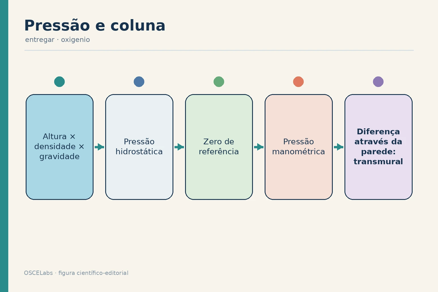 Relação entre coluna hidrostática, referência de medida e pressão transmural.
