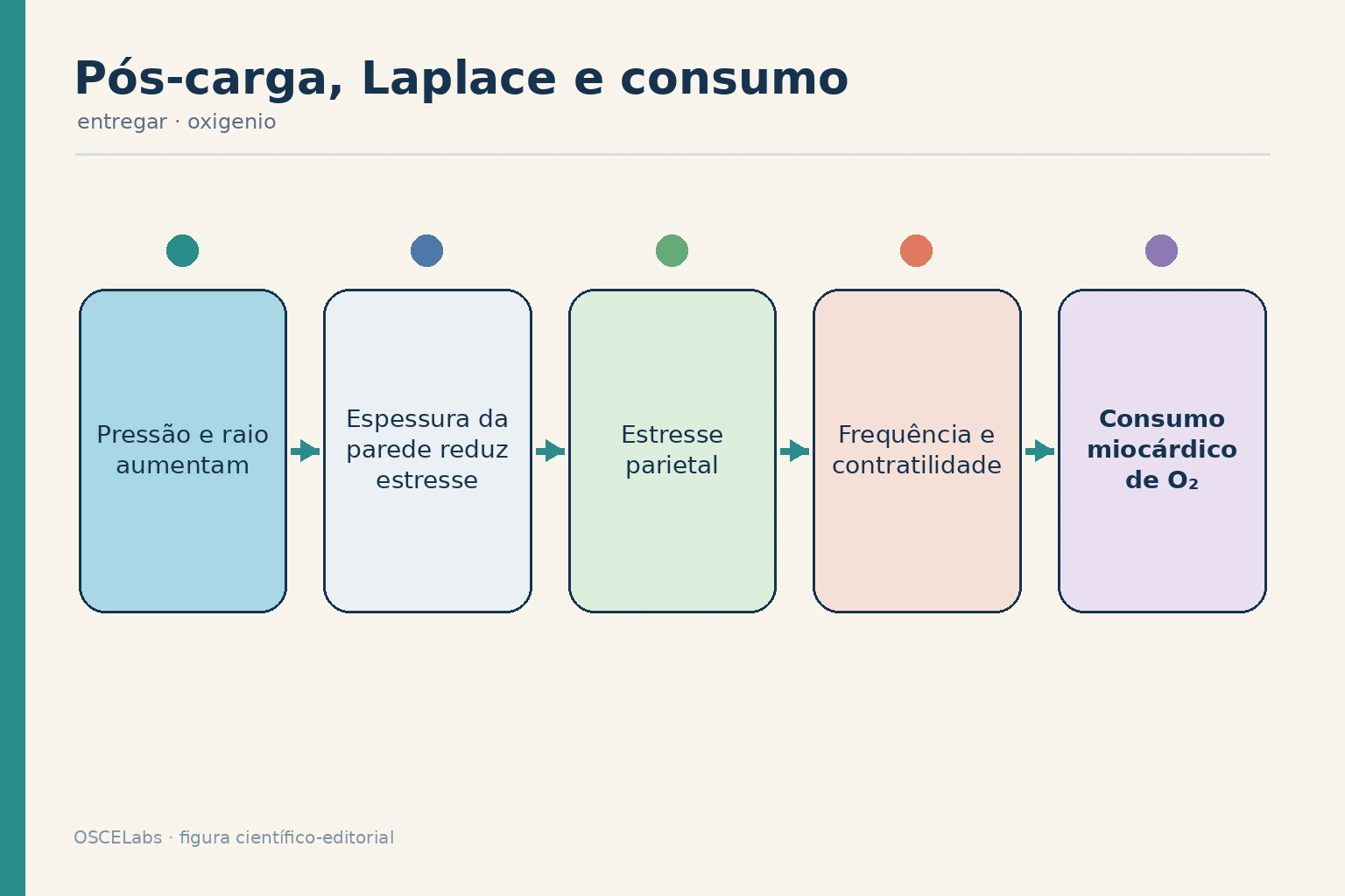 Relação aproximada entre pressão, geometria, estresse parietal e consumo de oxigênio.