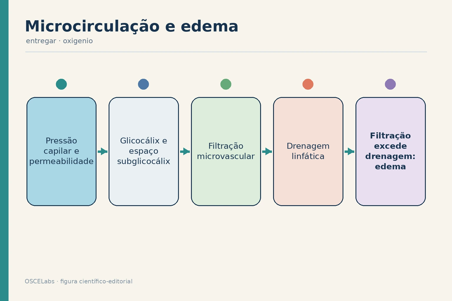 Troca microvascular contemporânea integrando glicocálix, filtração e linfa.