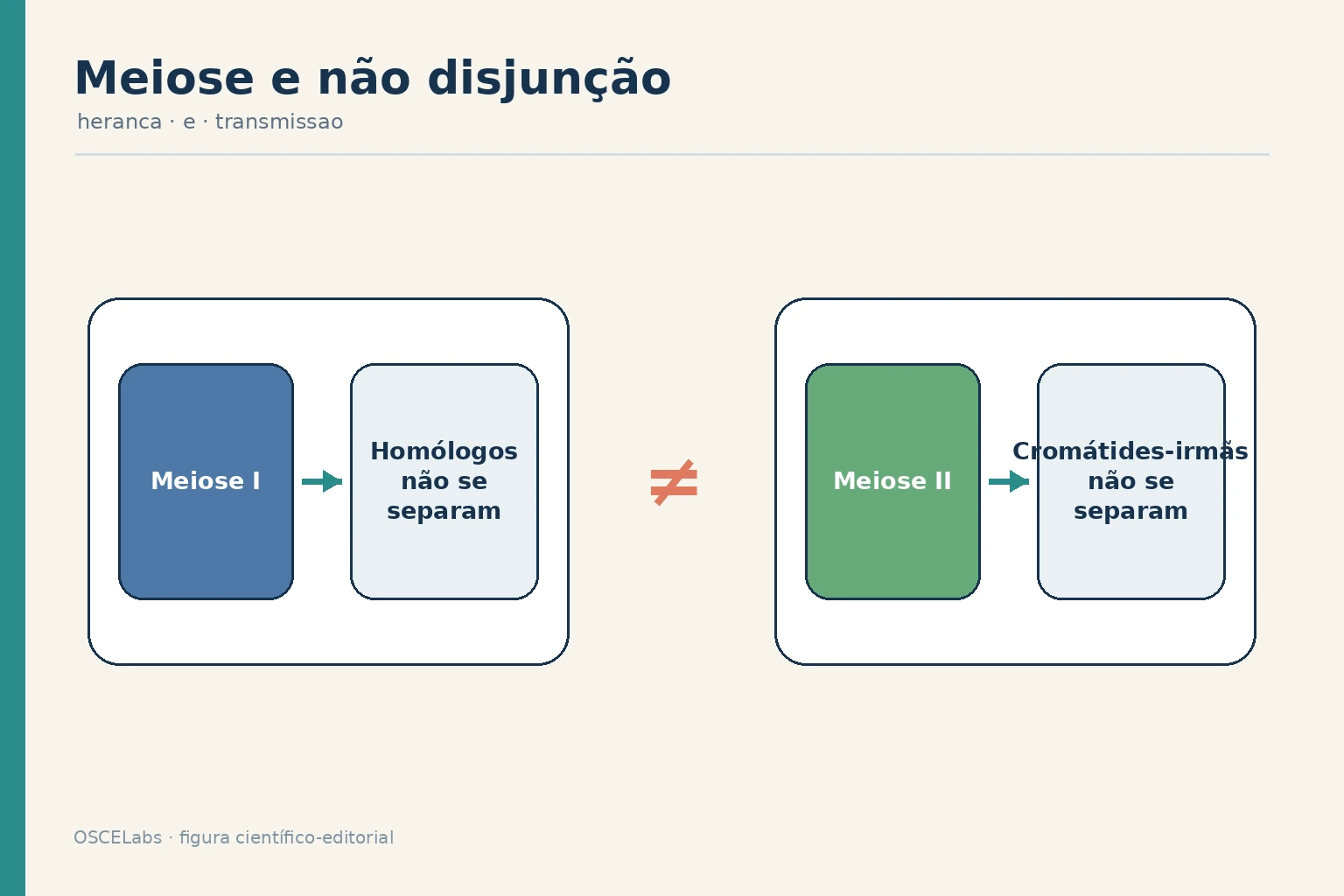 Comparação entre não disjunção na meiose I e na meiose II.