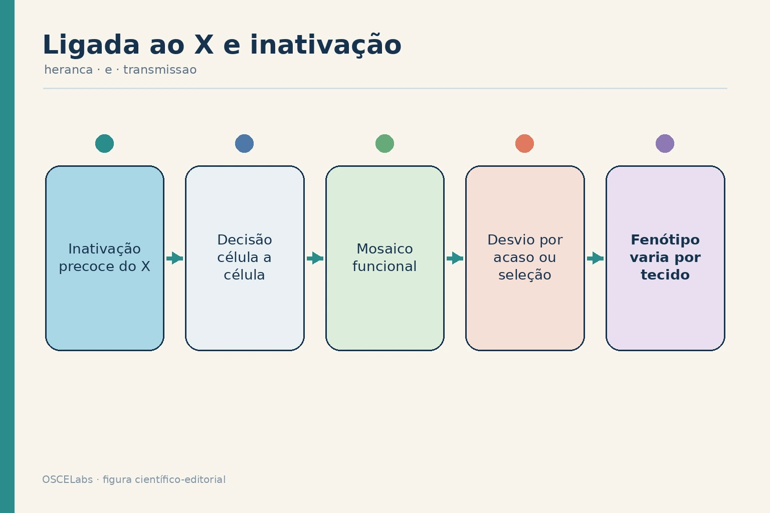 Inativação do cromossomo X formando mosaico funcional e possível desvio clonal.