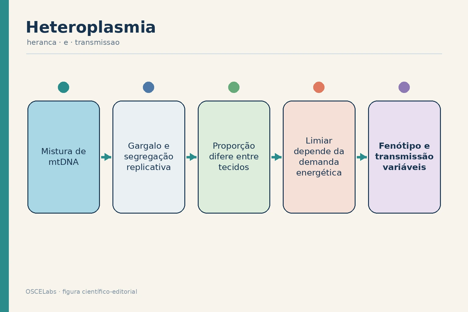 Segregação da heteroplasmia mitocondrial entre tecidos e limiares funcionais.