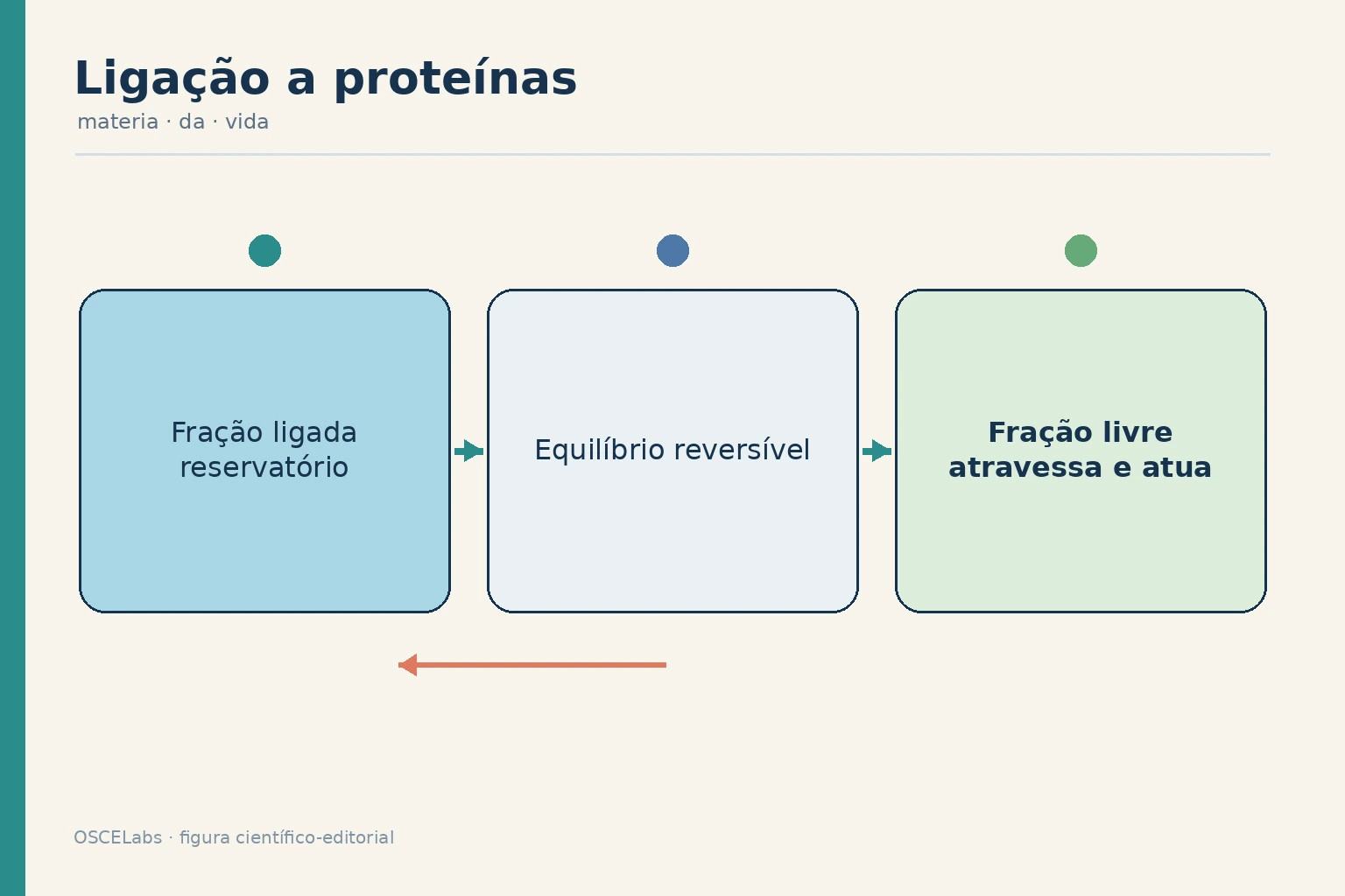 Equilíbrio entre fração ligada à albumina e fração livre de uma molécula.