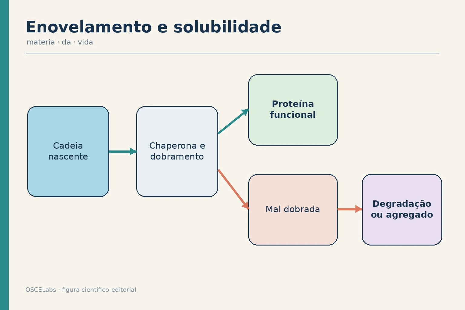 Destino de uma proteína entre dobramento funcional, degradação e agregação.