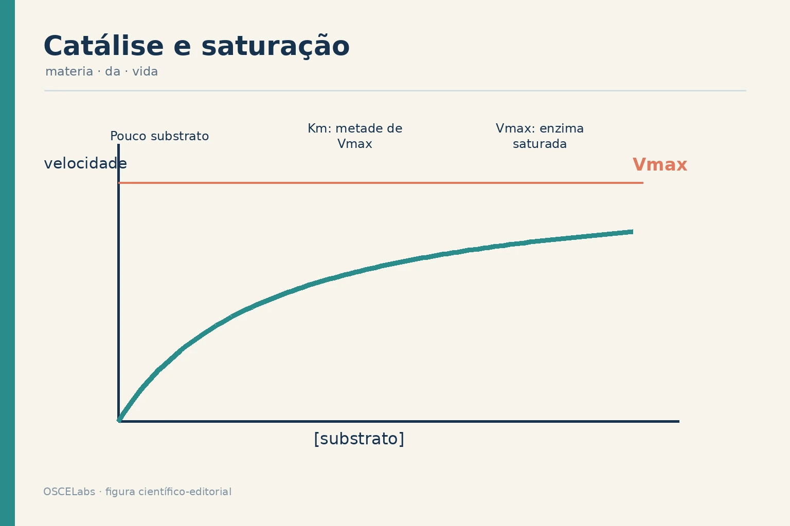 Curva de velocidade enzimática em função da concentração de substrato.