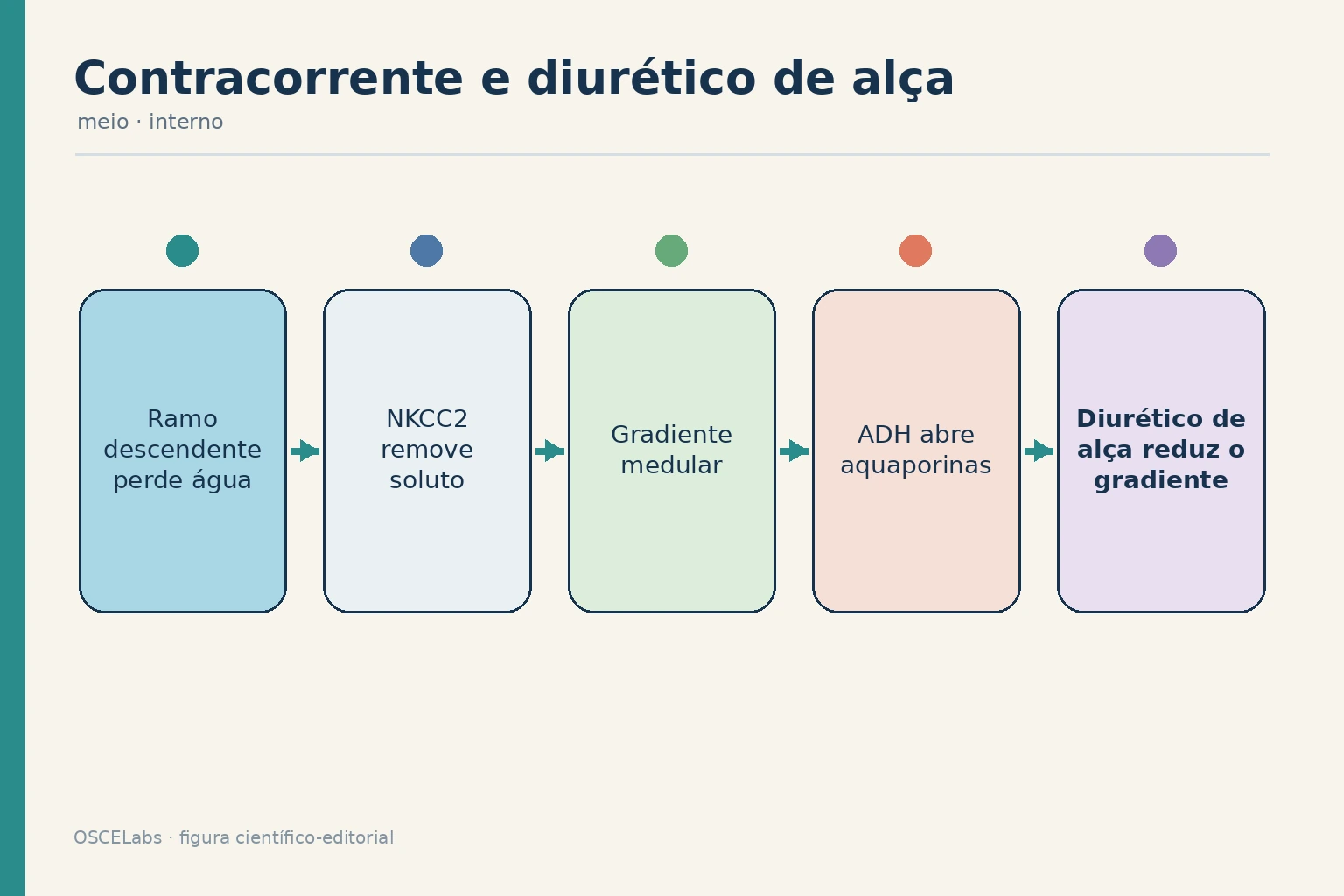 Multiplicação por contracorrente, ação da vasopressina e bloqueio de NKCC2.