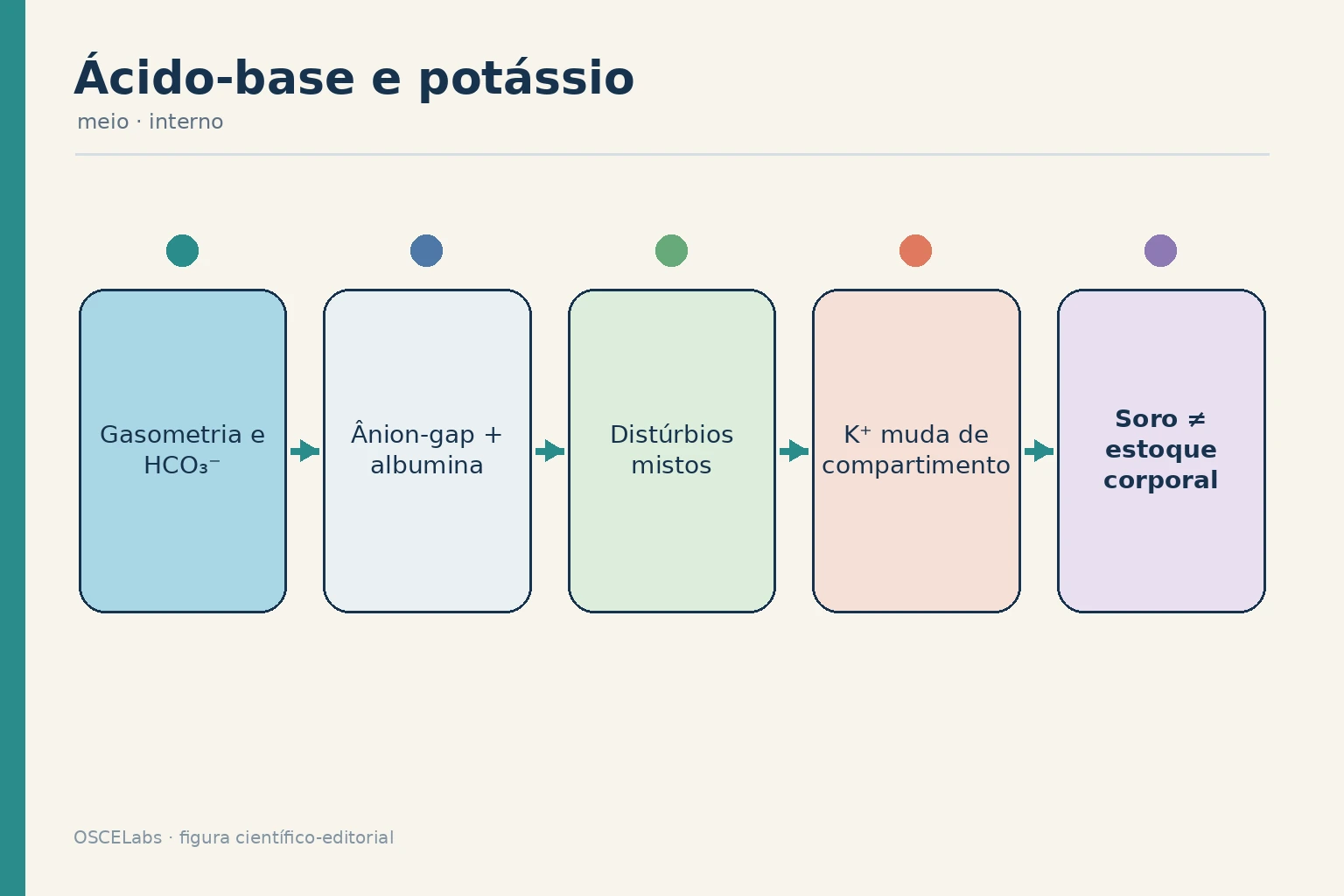 Integração de gasometria, ânion-gap e redistribuição do potássio.