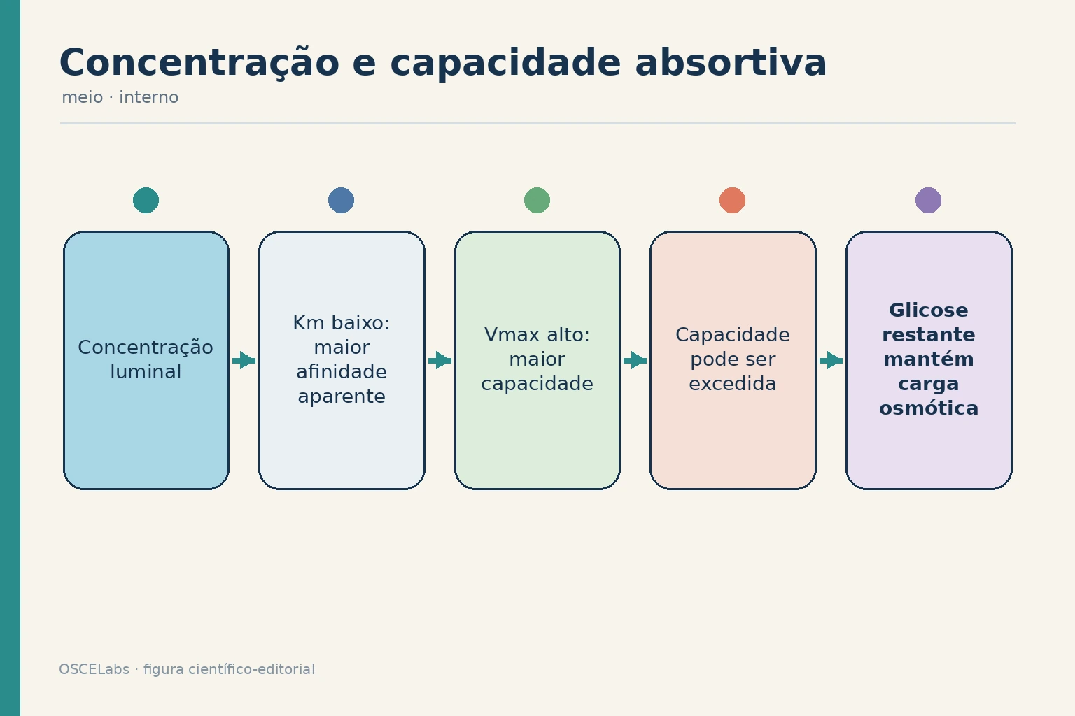 Cinética de transportadores e carga osmótica quando a capacidade absortiva é excedida.
