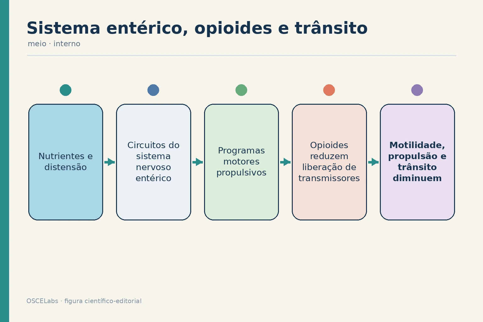 Controle do trânsito pelo sistema nervoso entérico e redução da propulsão por opioides.