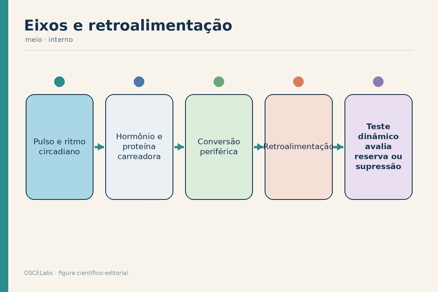 Eixo endócrino representado como sistema temporal com pulsos e retroalimentação.