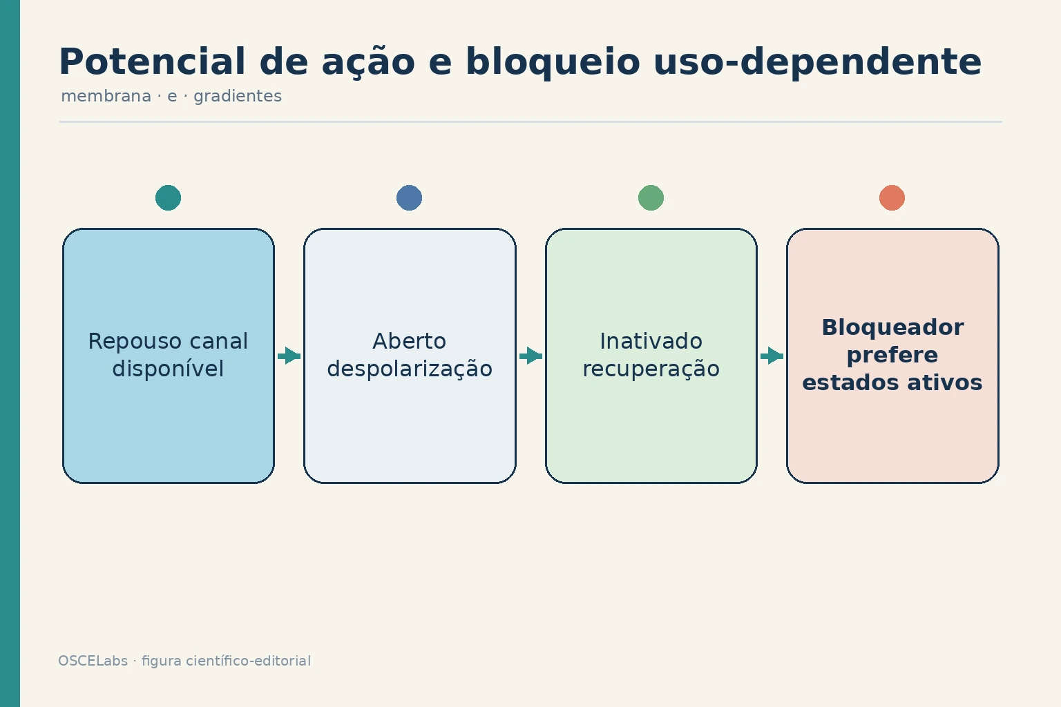 Estados de um canal de sódio durante o potencial de ação e bloqueio uso-dependente.