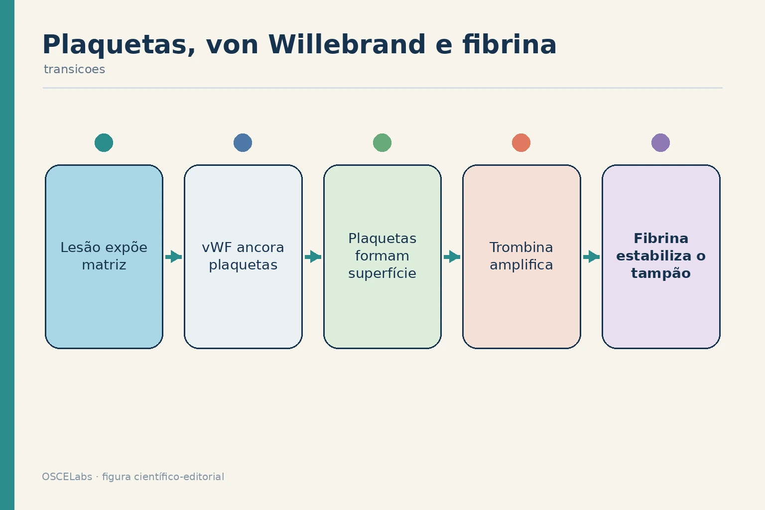 Integração entre adesão mediada por von Willebrand, plaquetas, trombina e fibrina.