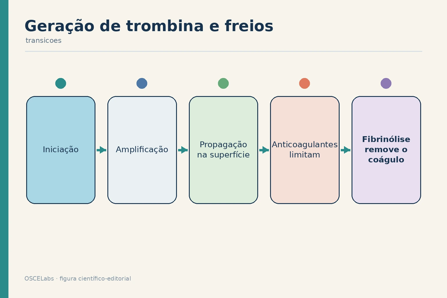 Modelo celular da coagulação com iniciação, amplificação, propagação e freios.