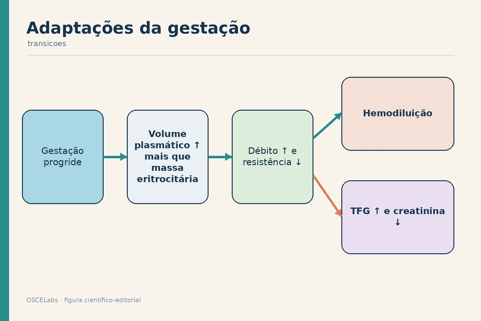 Trajetórias fisiológicas de volume plasmático, hemoglobina, débito e filtração na gestação.