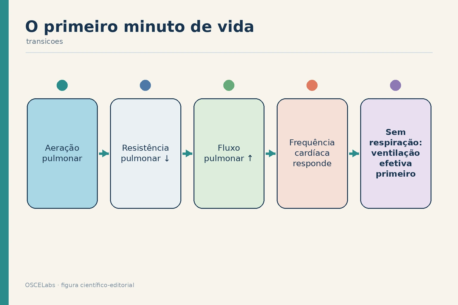 Transição cardiorrespiratória neonatal após a aeração pulmonar.