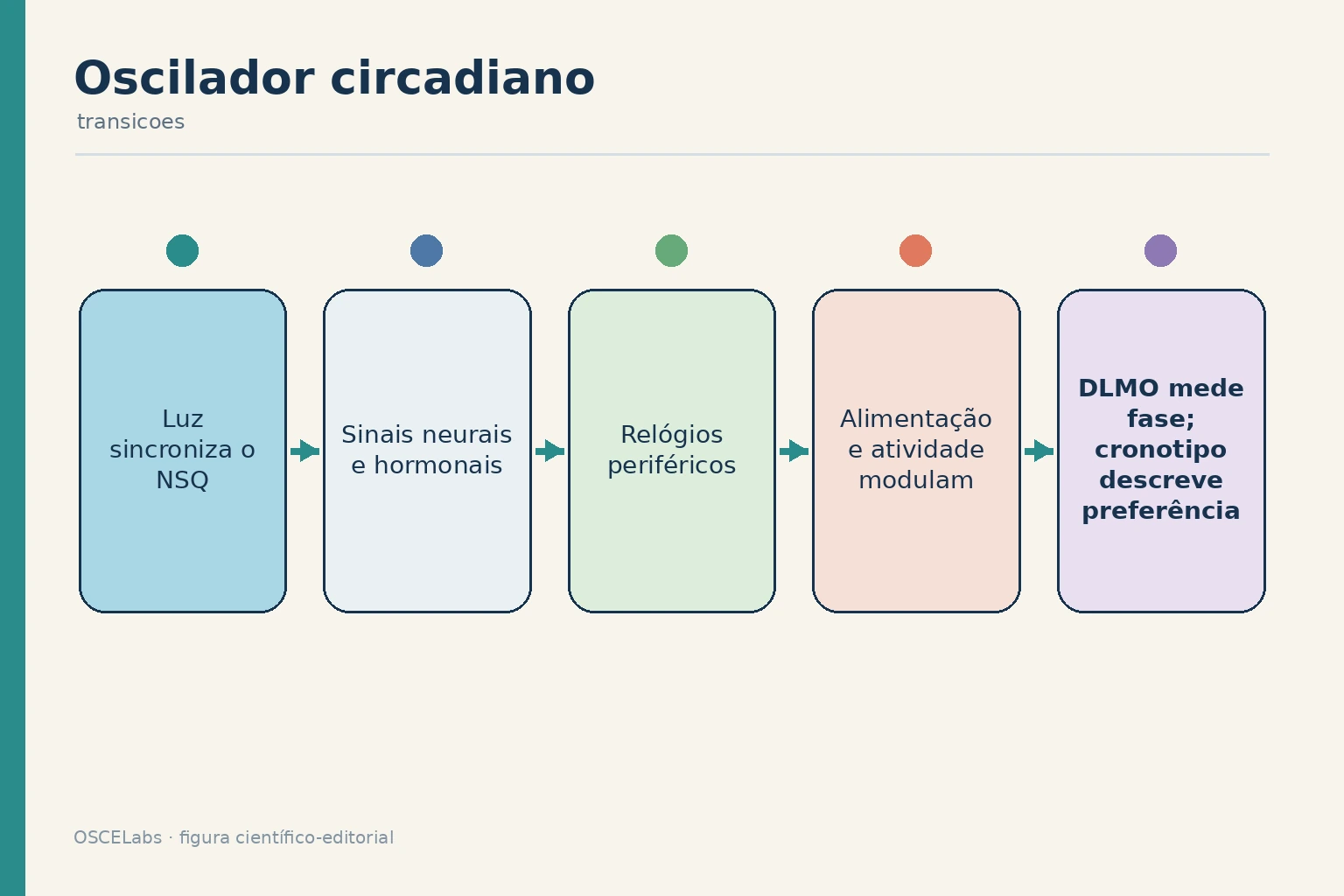 Núcleo supraquiasmático sincronizando relógios periféricos com moduladores comportamentais.