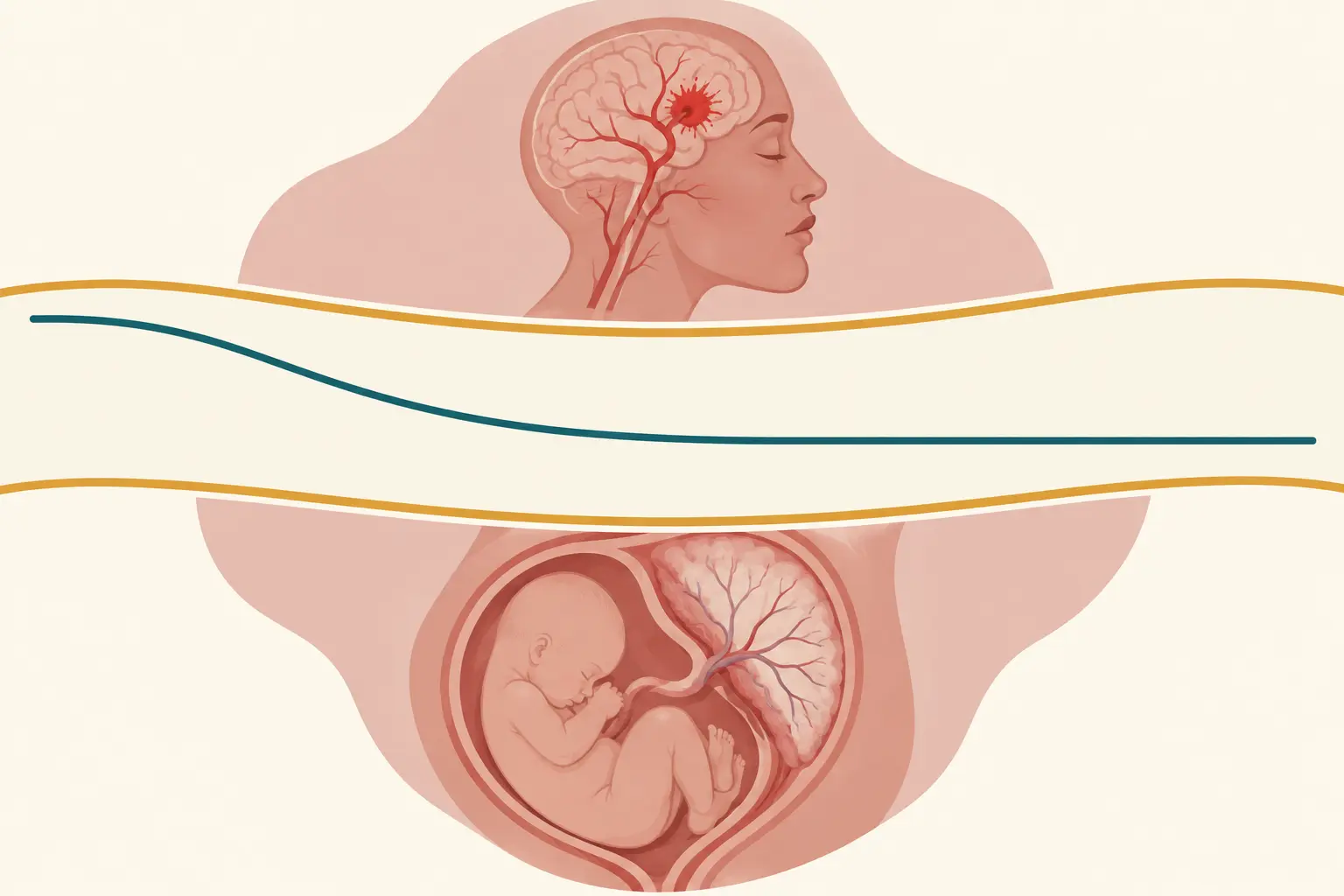Corredor vertical entre dois limites: acima dele, um crânio materno com linhas de ruptura; abaixo, uma placenta com circulação empobrecida; no meio, uma linha que desce suavemente e se estabiliza.