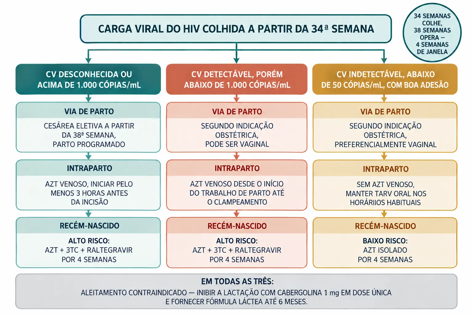 Fluxograma em três colunas partindo da carga viral colhida a partir da 34ª semana. Coluna da carga viral desconhecida ou acima de 1.000 cópias por mililitro: cesárea eletiva a partir da 38ª semana, zidovudina venosa iniciada pelo menos três horas antes, recém-nascido de alto risco com três antirretrovirais. Coluna da carga viral detectável abaixo de 1.000: parto por indicação obstétrica, podendo ser vaginal, com zidovudina venosa, recém-nascido de alto risco. Coluna da carga viral indetectável: parto preferencialmente vaginal, sem zidovudina venosa, recém-nascido de baixo risco com zidovudina isolada. Faixa comum às três: aleitamento contraindicado, inibição da lactação com cabergolina e fórmula até seis meses.