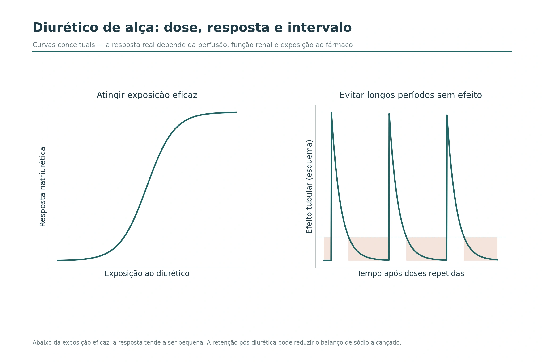 Resposta ao diurético em função da exposição e períodos de menor efeito entre doses.