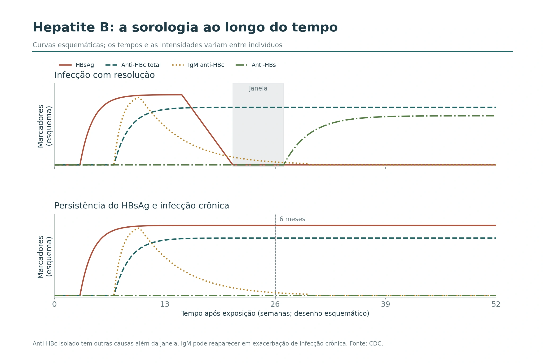 Curvas sorológicas esquemáticas da hepatite B com resolução e com persistência do HBsAg, identificando a janela.