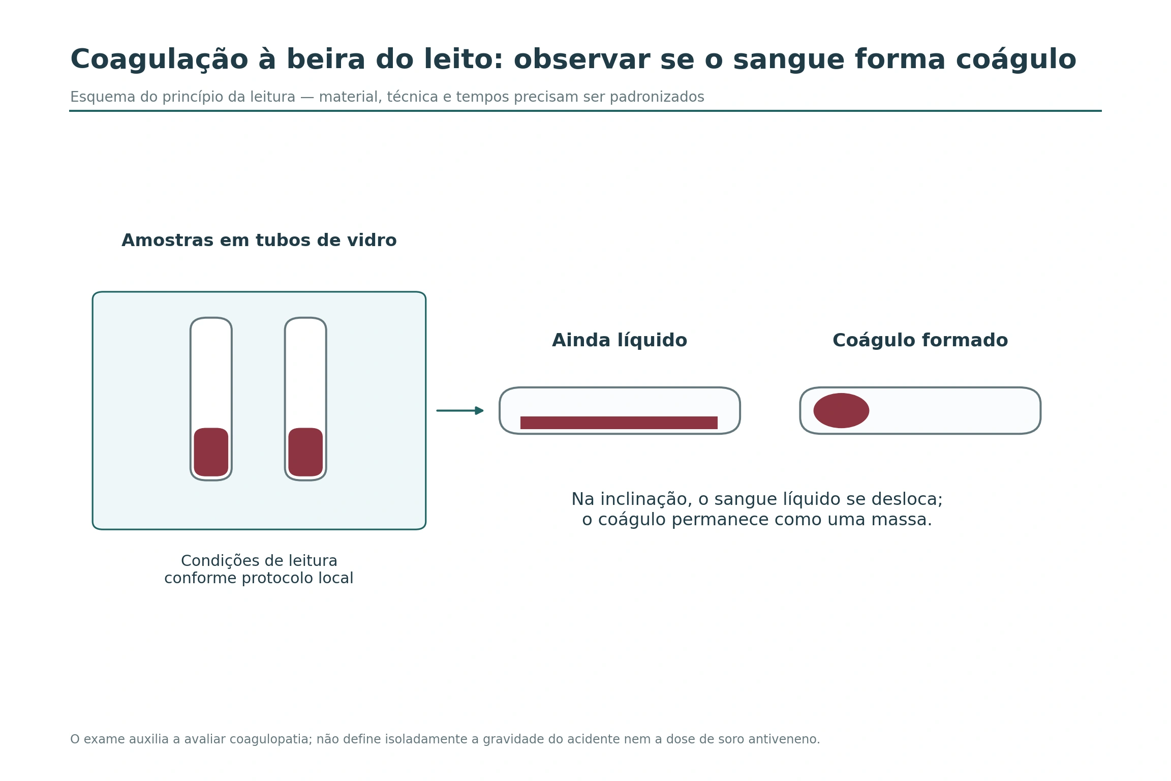 Tubos de sangue e comparação entre conteúdo que permanece líquido e coágulo que mantém sua forma na inclinação.