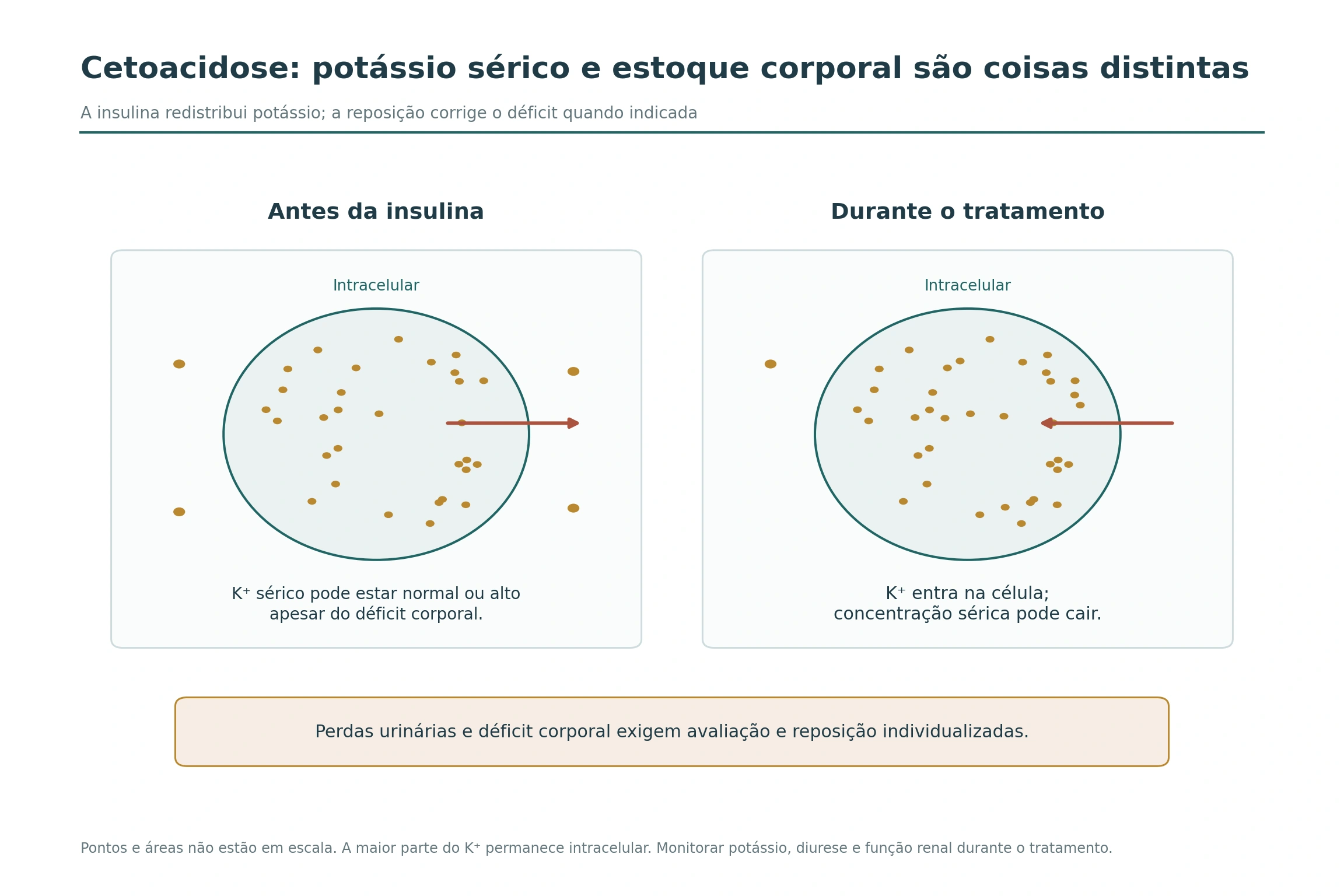 Predomínio intracelular de potássio nos dois painéis, com deslocamento para fora da célula antes da insulina e entrada durante o tratamento.
