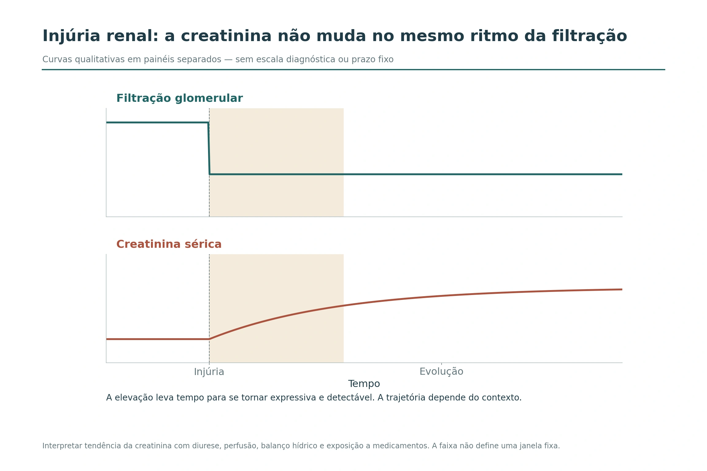 Curvas qualitativas em painéis separados: queda precoce da filtração glomerular e elevação progressiva da creatinina sérica.