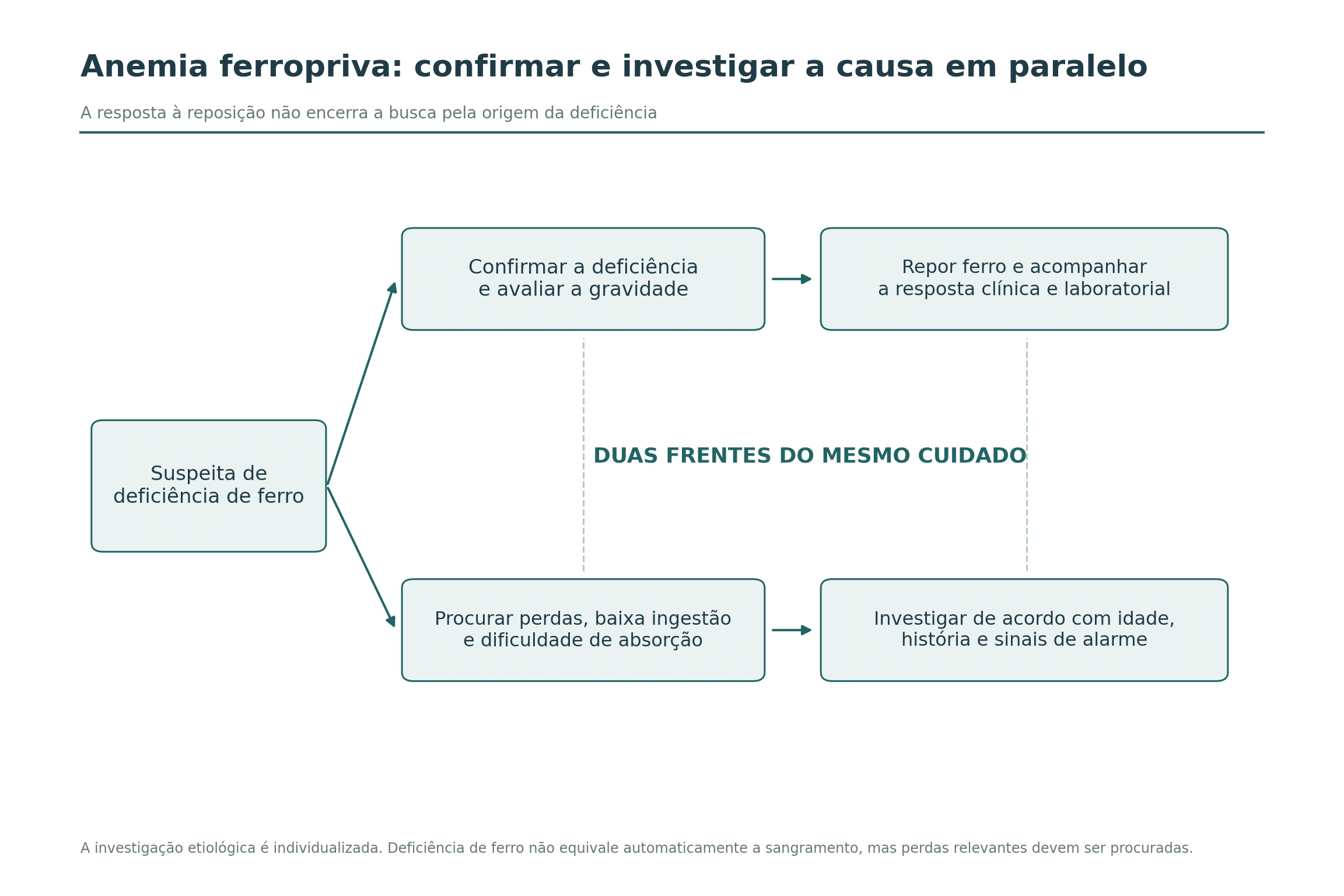 Duas frentes simultâneas: confirmar e tratar a deficiência de ferro, enquanto se investiga sua causa.