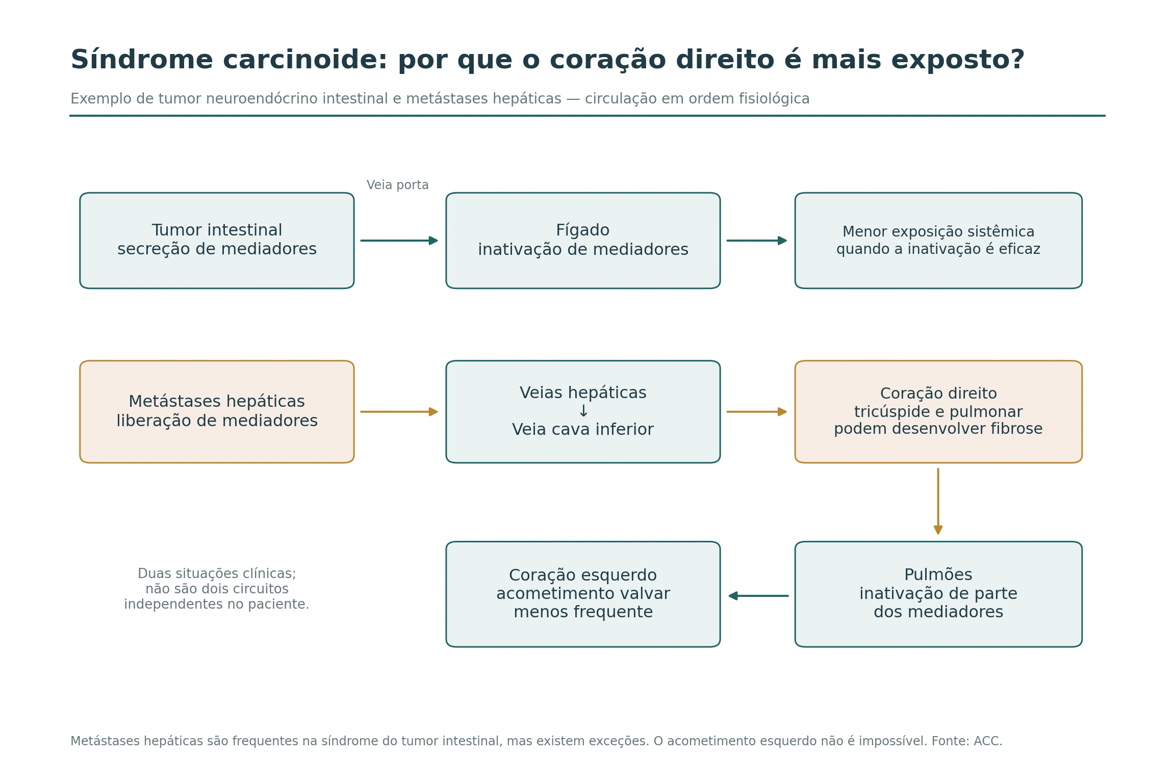 Esquema do trajeto de mediadores de tumor neuroendócrino intestinal: veia porta e inativação hepática; com metástases hepáticas, veias hepáticas, cava, coração direito, pulmões e coração esquerdo.