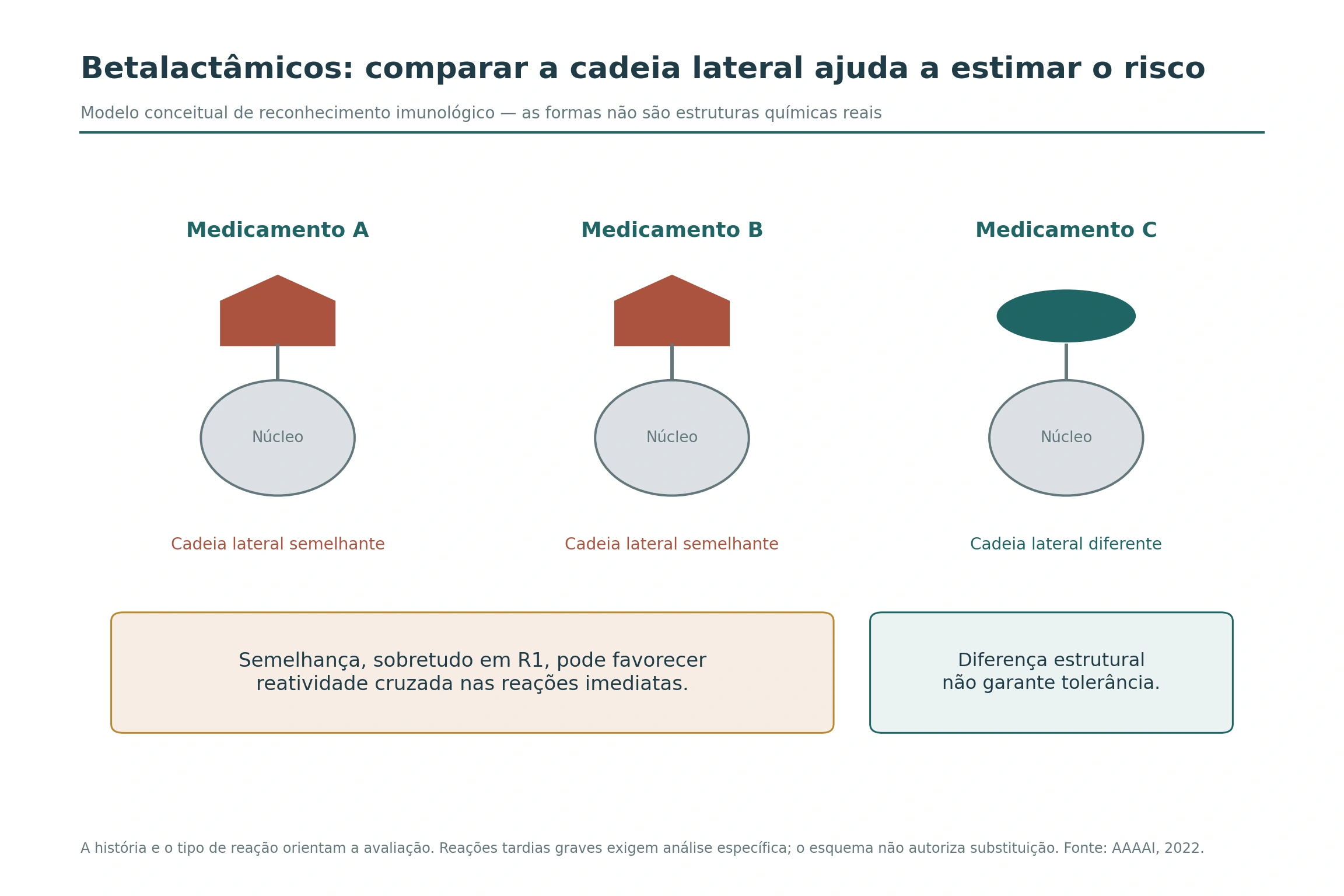 Três representações geométricas de medicamentos: A e B com cadeias laterais semelhantes em coral; C com cadeia diferente em verde. Textos destacam reatividade cruzada possível e ausência de garantia de tolerância.