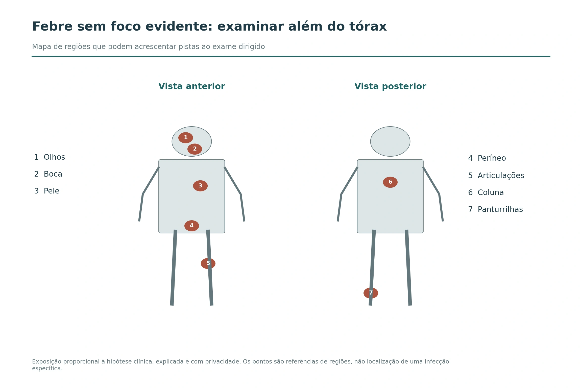 Silhuetas frontal e posterior indicam olhos, boca, pele, períneo, articulações, coluna e panturrilhas como regiões do exame dirigido.