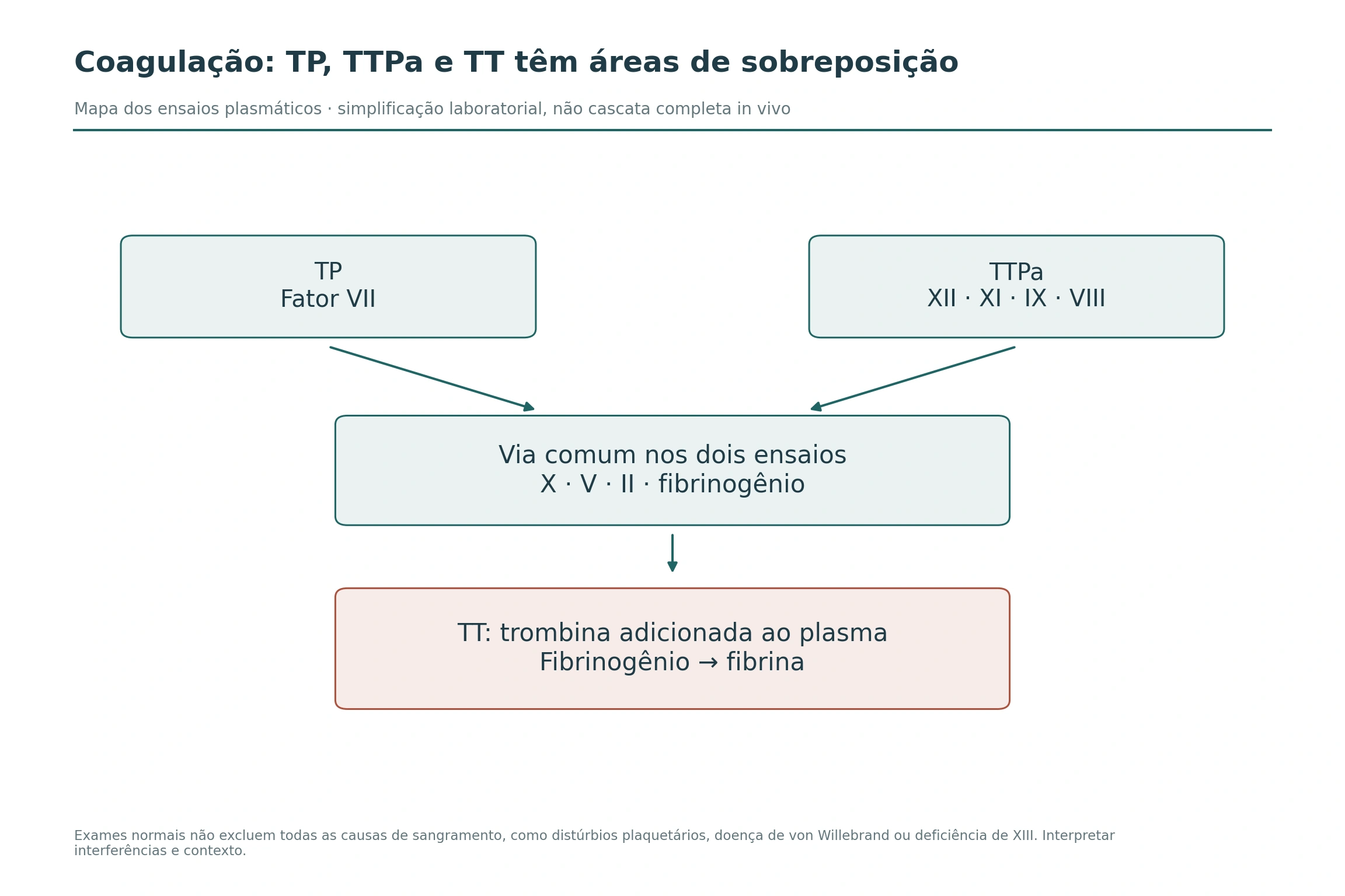 Mapa conecta TP e TTPa a seus fatores iniciais e à via comum; um bloco final mostra TT com trombina adicionada e conversão de fibrinogênio em fibrina.
