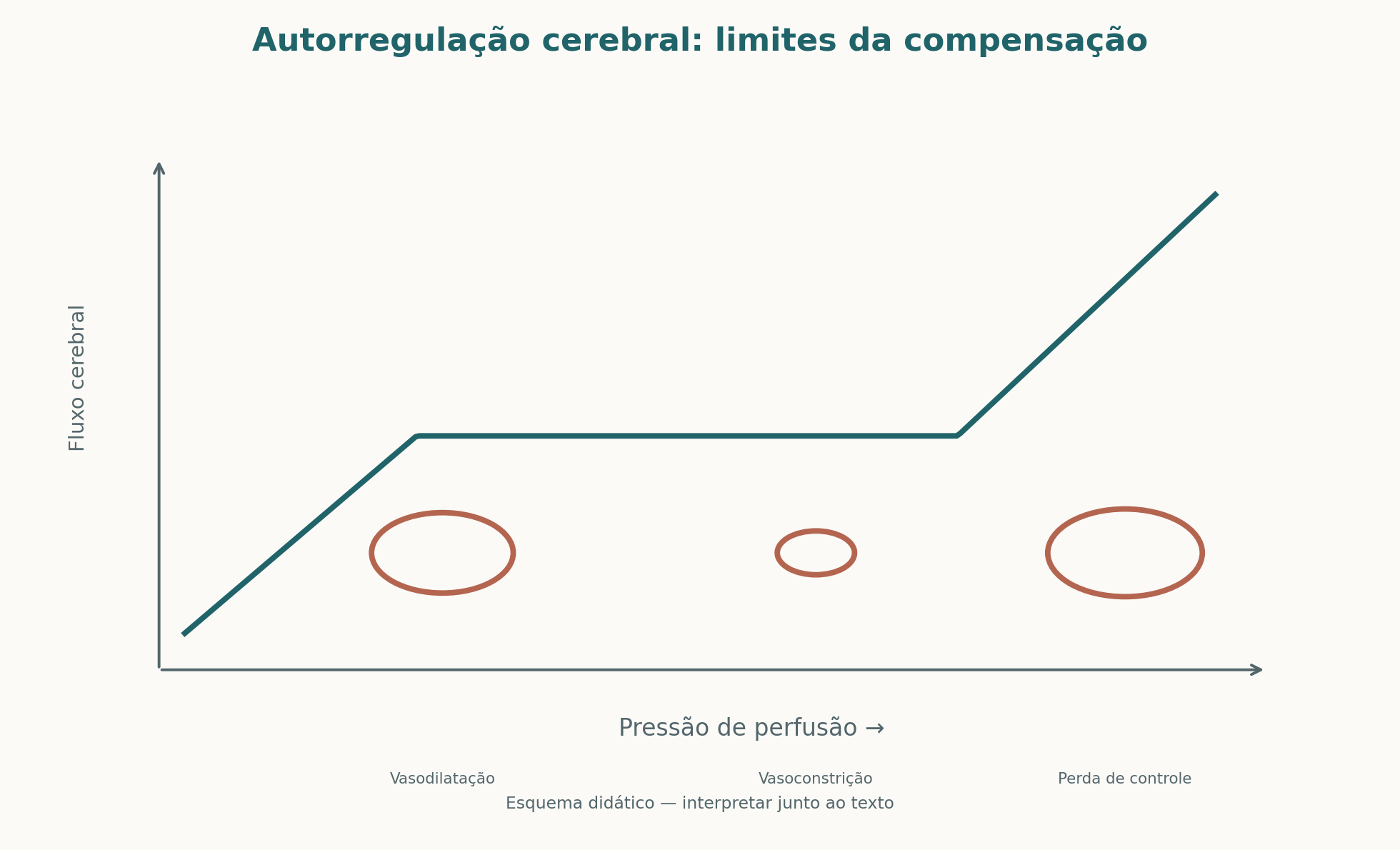 Curva conceitual de autorregulação cerebral