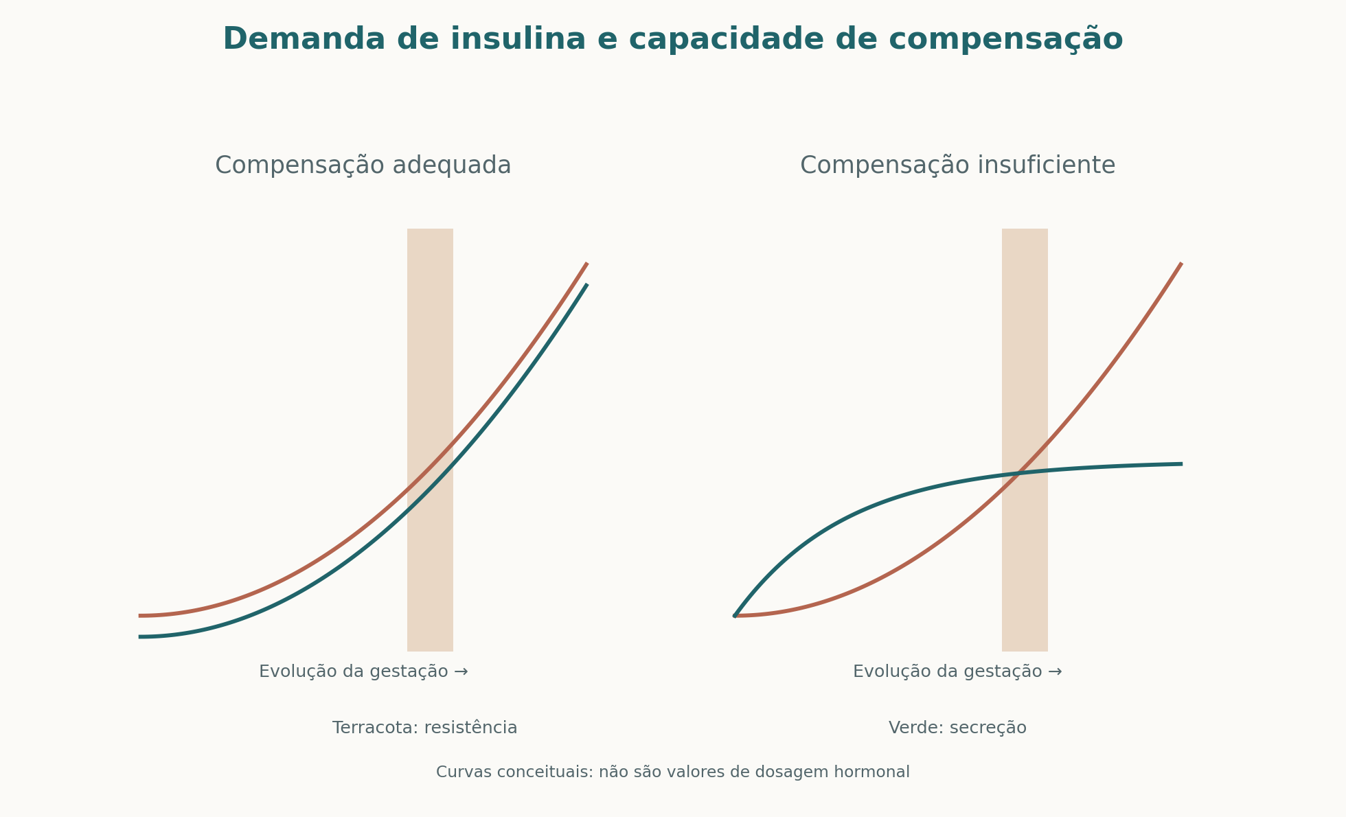 Curvas conceituais de resistência à insulina e compensação secretória