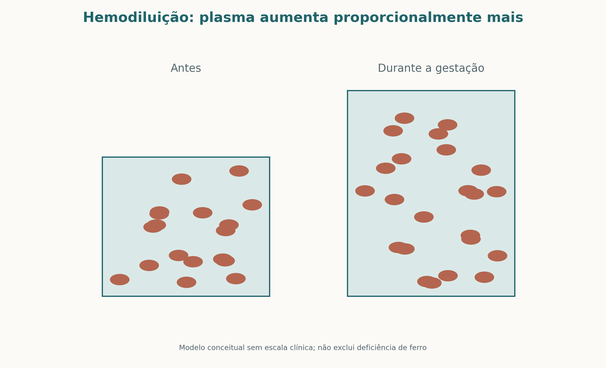 Hemodiluição fisiológica: o volume plasmático aumenta proporcionalmente mais que a massa eritrocitária
