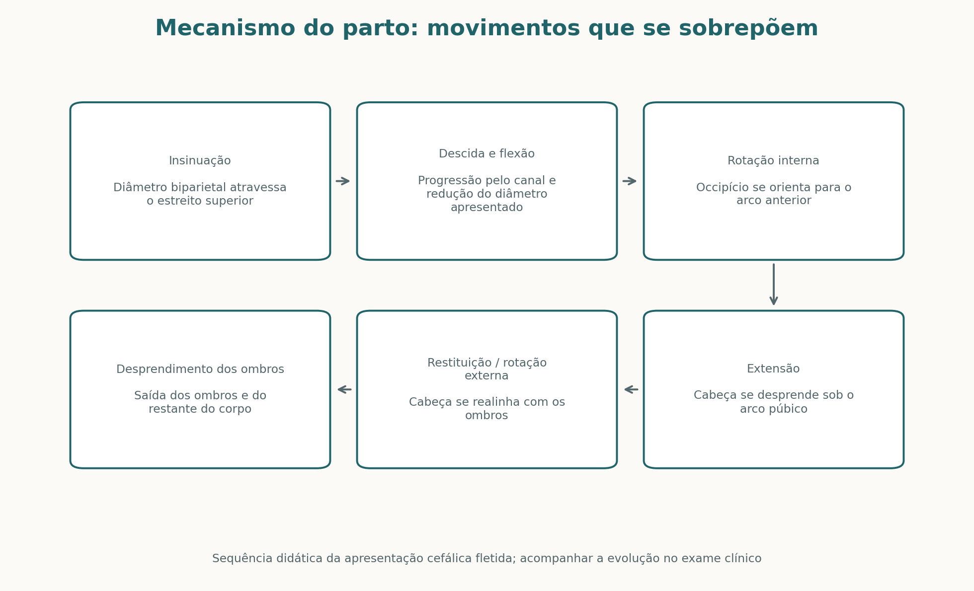 Sequência conceitual do mecanismo do parto em apresentação cefálica fletida