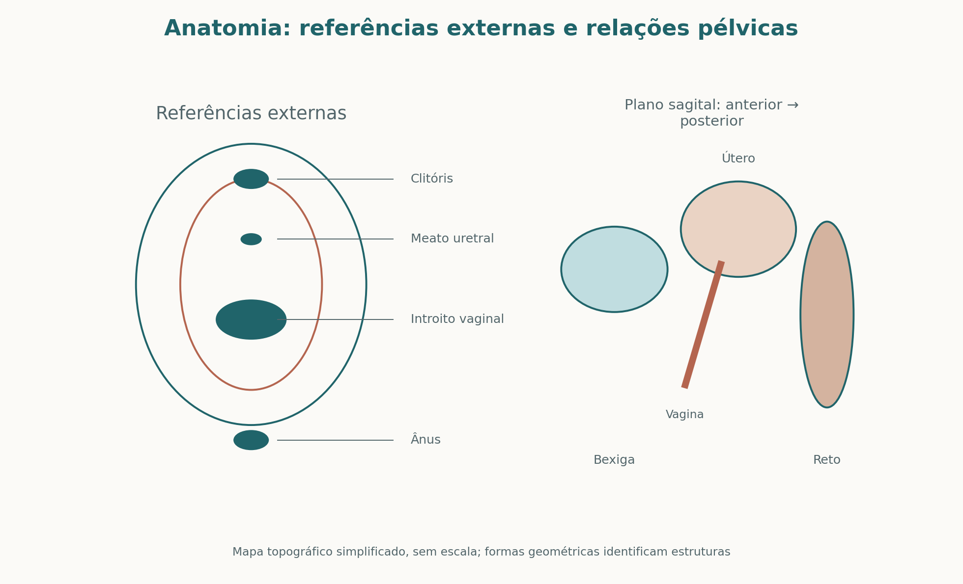 Mapa topográfico das referências externas e das relações pélvicas: clitóris, meato uretral, introito e ânus; bexiga anterior, útero e vagina centrais, reto posterior