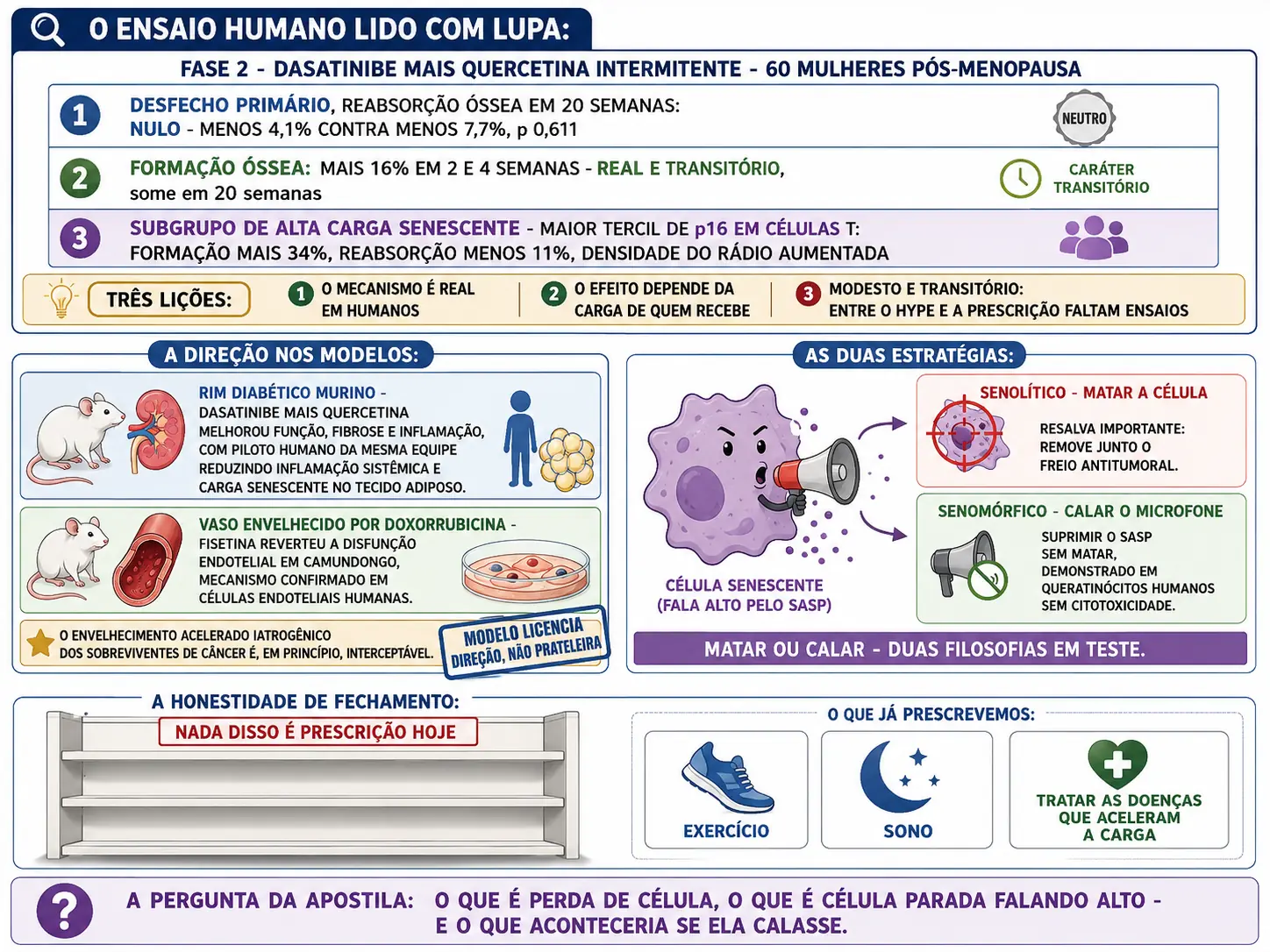 Quadro do ensaio de fase 2 com primário nulo, efeito transitório e subgrupo de alta carga, cartões dos modelos renal e vascular, célula com megafone entre senolítico e senomórfico, e prateleira vazia com as prescrições atuais.