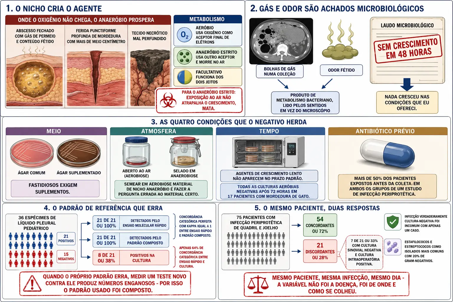 Cortes de abscesso com gás, mordedura profunda e necrose ligados ao metabolismo anaeróbio, quatro colunas de condições que o negativo herda, bloco pleural comparando detecção molecular e cultura, e coorte periprotética dividida entre culturas concordantes e discordantes.